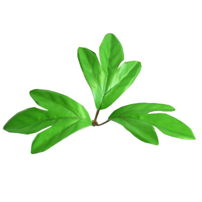 照屏 Crafts Manufacturer Wholesale Simulation Flower Raw Materials Tricho Peony Leaf Green Plant Simulation Decorative Leaf 5