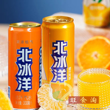 北冰洋桔汁橙汁汽水易拉罐330ml*24聽裝整箱飲料批發