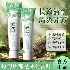 Xinglujie 重曹フレッシュ口臭除去歯磨き粉口臭除去長期持続口臭フレッシュミント歯磨き粉カスタム OEM
