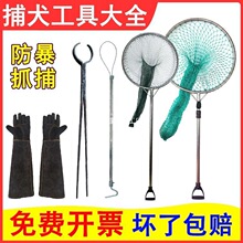 �Ӵֲ����W���������߱�������׽����Ȯץ���W���˹�؈�A��ץ����