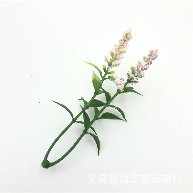 2020-12-13 170158.jpg