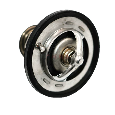 90916-03093, Thermostat