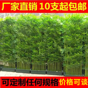 �����҃��b������ϼ����Ӹ������L����������ֲ���쾰