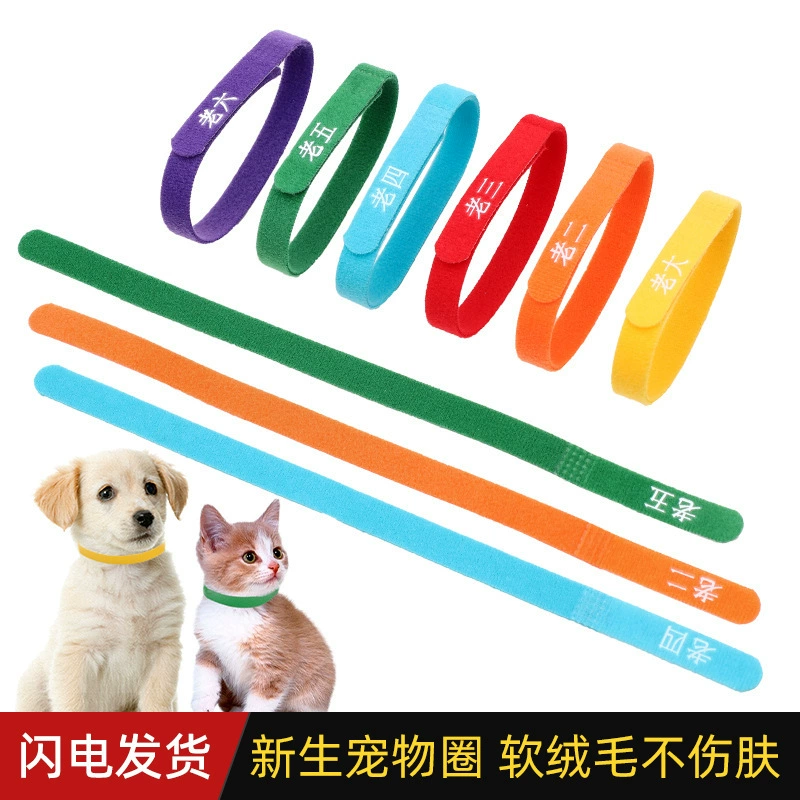 Щенки, щенки, кошки, домашние животные, круг, идентификация шеи, знак, печать, 6 цветов щенки, щенки, котенки, липучка, разрешающая полоса