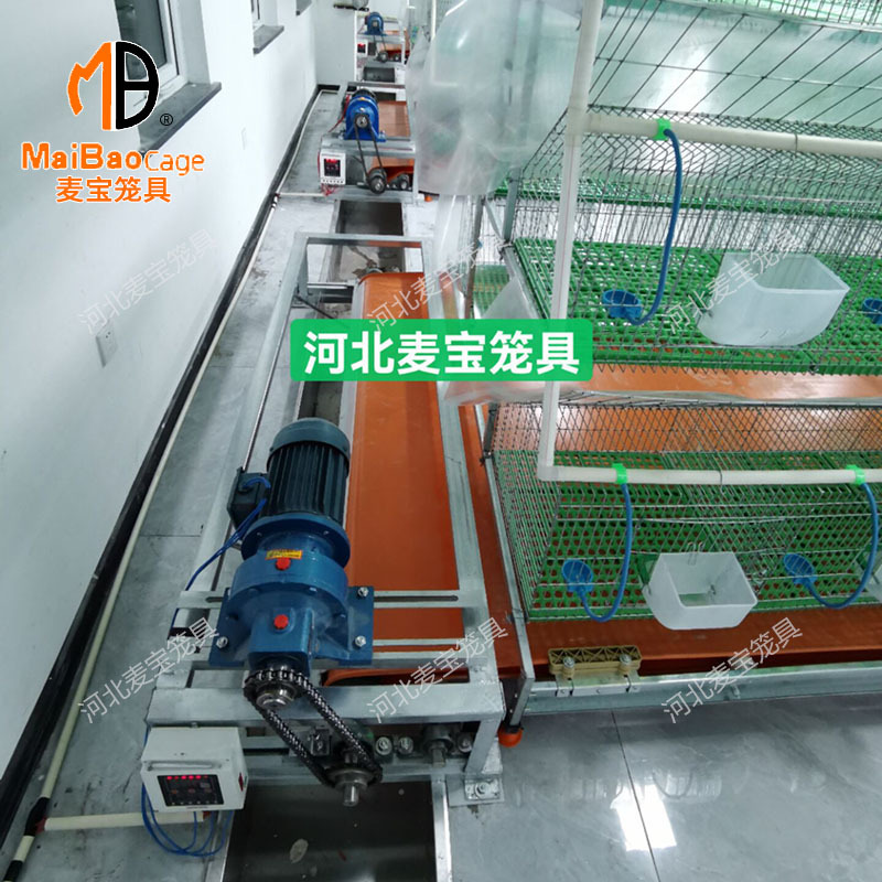 O1CN01ScwSCz1P6mVaClolL_!!1950