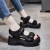 Black (4cm with high)