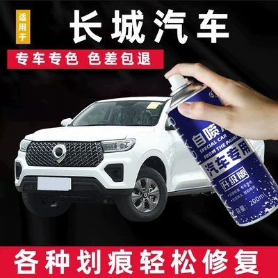 Great Wall Motors C30 Wingle 5 Titan Ağ Rəngli Təmir Qələmi