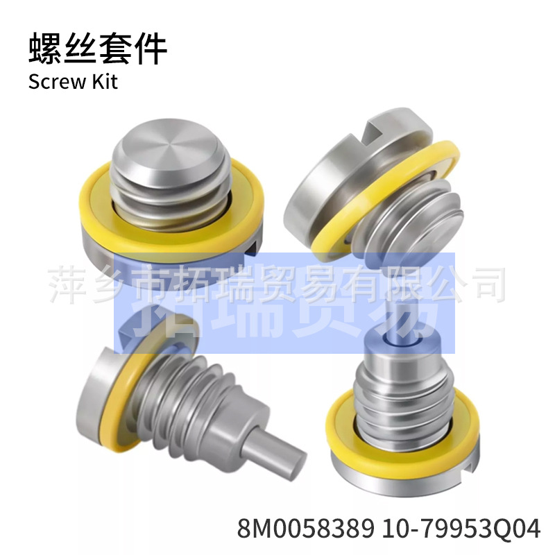 8M0058389 10-79953Q04 2