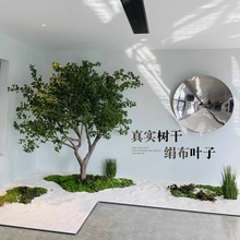 mͷ҃bؾGֲ쾰WinsL٘