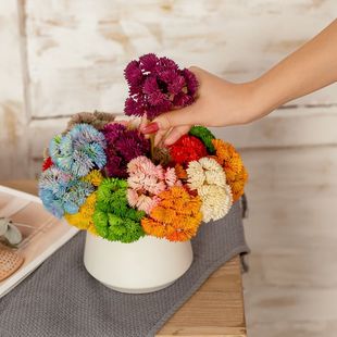 ܛ�z���й����滨�S�� ������ٻ��ָж���ֲ��ɭŮϵMW17661