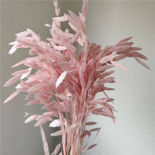 Preserved flower small grass dried flower bouquet ins Nordic diamond grass air-dried real flower decorative ornaments small fat grass