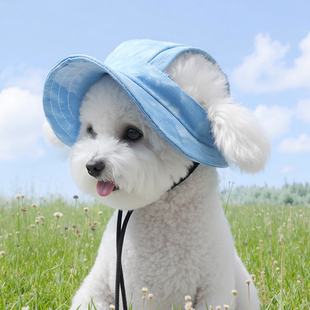 Dog Sun Hat Teddy Bichon Small Size Dogs Sun Protection Summer Puppy Exposed Ears Summer Hat Fisherman Hat