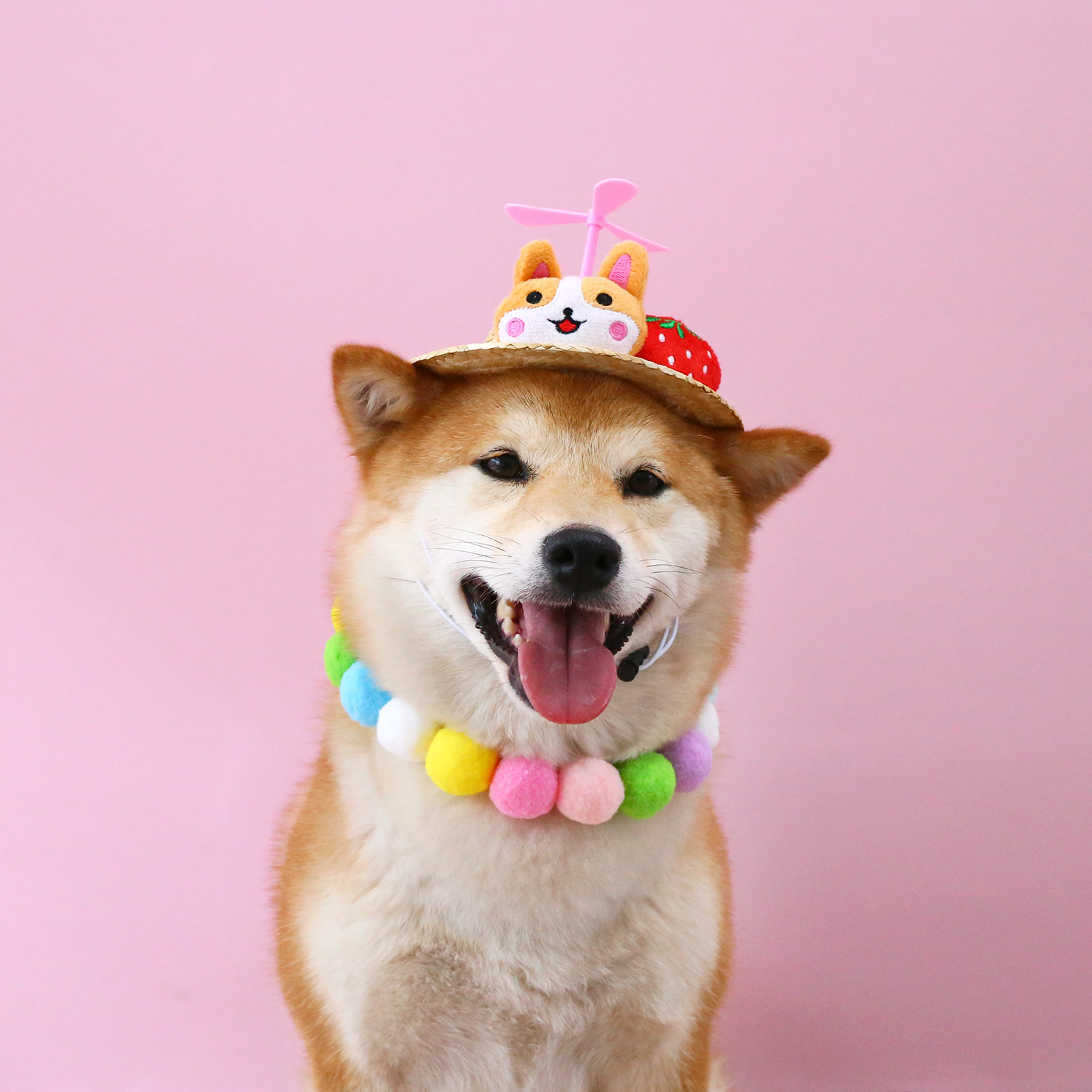 Shiba Inu perro excursión dibujos animados lindo fruta sombrero de paja aviones gato mascota sombrilla bambú libélula Red Sombrero Corgi