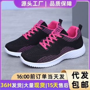 �羳�w��ЬŮ2024�����¿���\�ӑ���͸���w���W���p���ܲ�ЬŮ