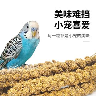 �W�^���뎧���S���ӻ�Ƥĵ�����PС����}����ʳ�������B��ϼZʳ