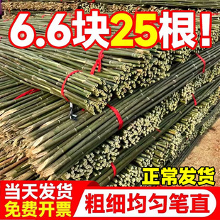 Bamboo Pole Vegetable Garden Frame Garden Vegetable Rack Bamboo Pole Fence Outdoor Bamboo Fence Anti-Corrosion Durable Colorful Flagpole Bamboo Stick
