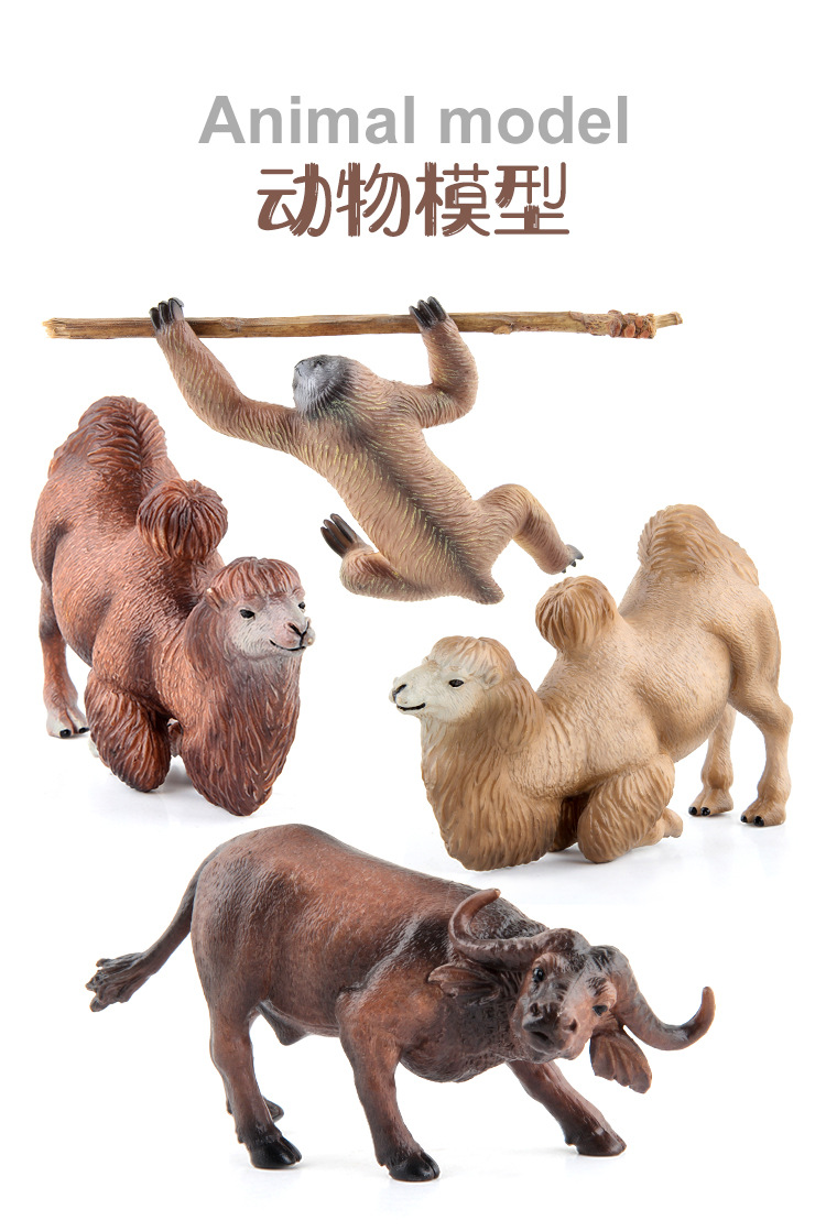 详情_01.jpg