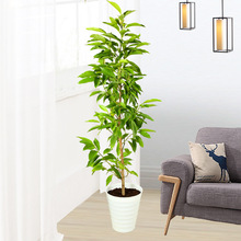 �����m���m�������S���mͥԺ������ֲ���̨�҃����Ի����ļ��_��