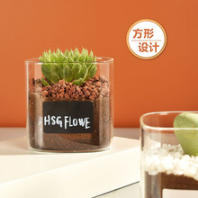 创意多肉植物花盆玻璃方形花瓶ins水培器皿玻璃高颜值可爱小花瓶
