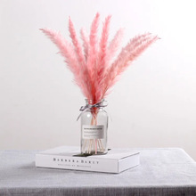 �ɻ�С������ë��Ů�ķ�ɫ�JȔ�Ҿ��b[�O��ƿ�ɻ�