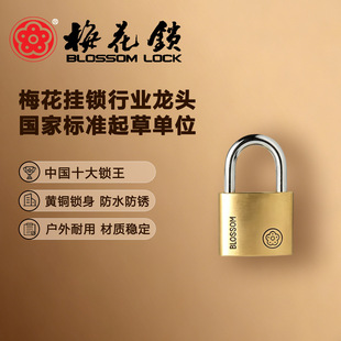 ÷�� ���A�S�~���i40mm��ˮ���Pͨ�_�i�����䙙�T�i �~�i�^���l
