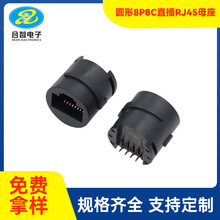 �A��ȫ��RJ45ĸ��ֱ���ˮĸ��8P8C��ɫPBT�A�FURJ45�W�j����