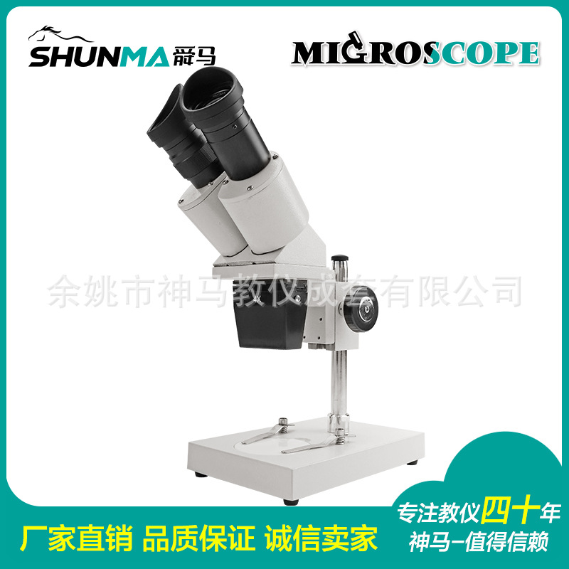 体视显双目斜筒工业 无光源 40X 厂家直销S-20-P学生立体体视显微