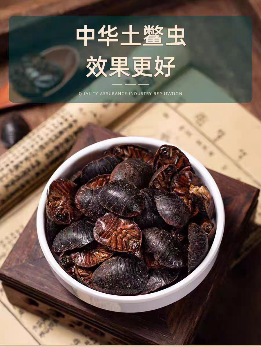 Tu Yuan (Eupolyphaga sinensis) — Dried Ground Beetle Herb, 500g Food-Grade key features