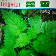 ���I����һ��޽��N���ļ�ɽ����޽�㱡���~���~�����ș�ݷN���