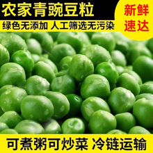 新鲜豌豆粒速冻青豌豆甜青豆冷冻麦豌豆生青豆粒蔬菜商用豌豆2斤