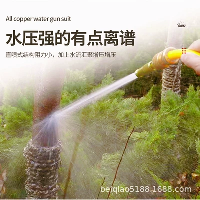 Pressure Water Gun Car Washing Spray, High pressure car wash water gun