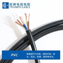 ������|RVV2*0.5ƽ�������o�׾�