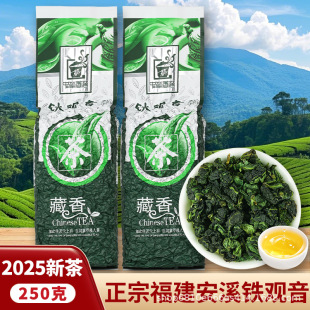 ���ڰ�Ϫ�F�^�����~2025���²�������������m���������MTSDC