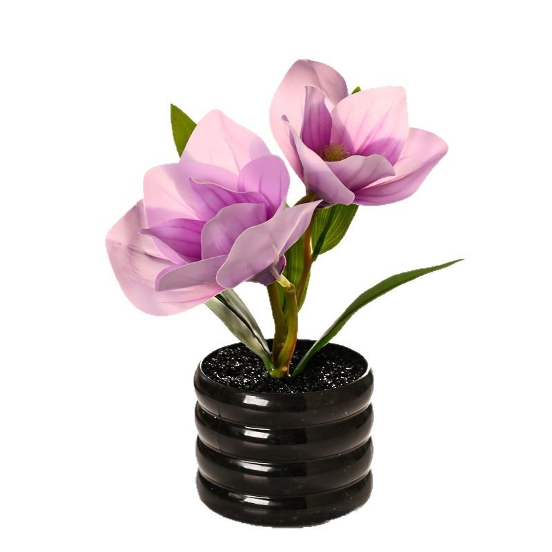 Dos flores y una fruta sensación de imitación de flores en maceta de magnolia, decoración de plantas verdes en el hogar, sala de estar, pequeñas flores de bonsai image 6