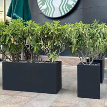 ���ⲻ�P䓻�������������ʸ���ͥԺ���ػ������ٻ��軨�ۻ���