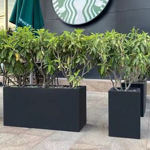 ���ⲻ�P䓻�������������ʸ���ͥԺ���ػ������ٻ��軨�ۻ���