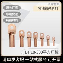 �S�˱�DT10-300ƽ�����ͱ����~������|늾����^�~���������~�ܱ�