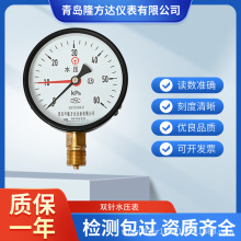 水压表 直径100厂家生产批发直销60Kpa双针压力表型号规格全耐蚀