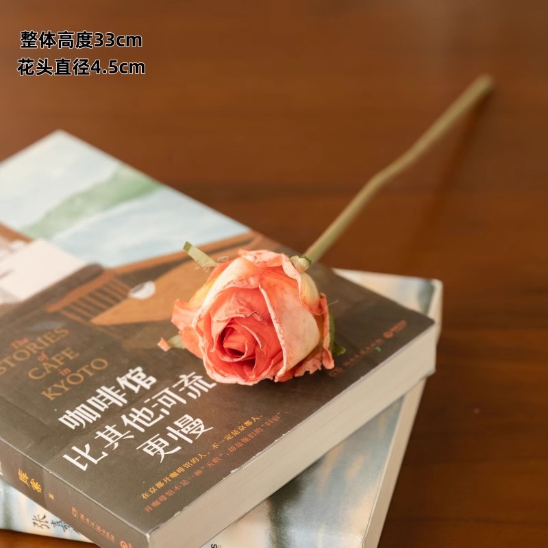파리 앙고라 싱글 헤드 로즈 루즈 1개