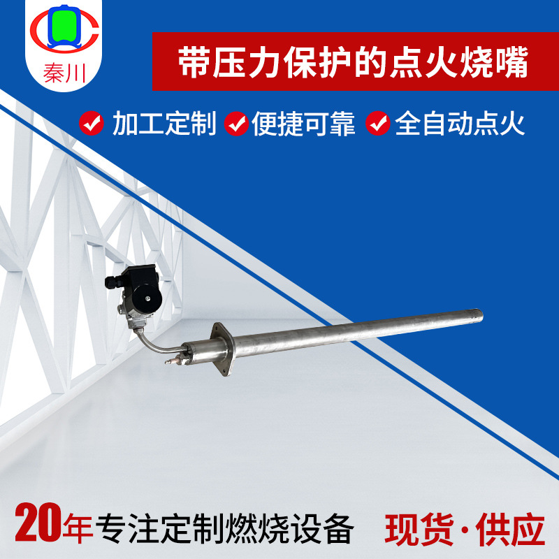 天然气点火烧嘴 带压力保护火焰强度稳定 加热炉天然气点火枪