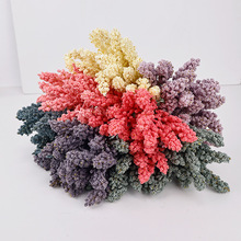 ������ĭ�����Y�Ҿ��b[���廨��c�zӰ�ٻ�������@�JȔ