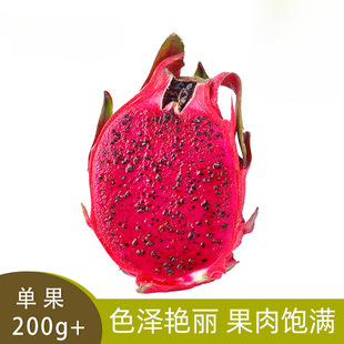 �t�Ļ�����2��200g+�����}�l؛��