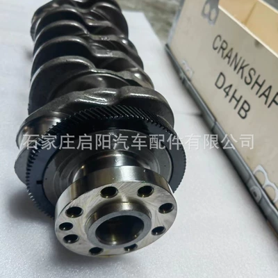 Crankshaft, camshaft for Hyundai Kia D4Hb