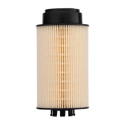 Fs19869 Diesel Diesel filter