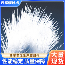 聚丙烯中空纤维超滤膜膜丝 PP中空纤维膜丝 水处理超滤膜丝批发