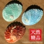 天然家居手工水族鲍鱼壳