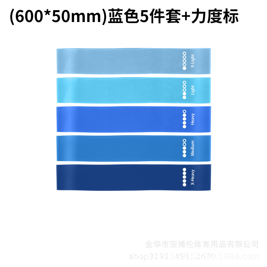 [PTE Lili Standard] 블루 5종 세트