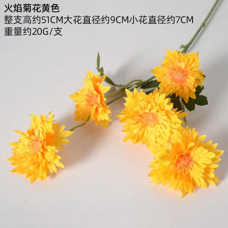 Crisantemo de llama amarillo