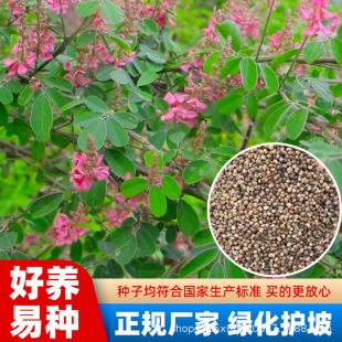 �໨ľ�m�N�ӷN�Ѷ໨ľ�{������Ã����Ĺ�ľ��Դֲ���Ƕ�������