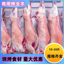 ���r�����ȫ�� ȫ����ֻ ȫ�� �חl�� 10-30����x ��ȫ��